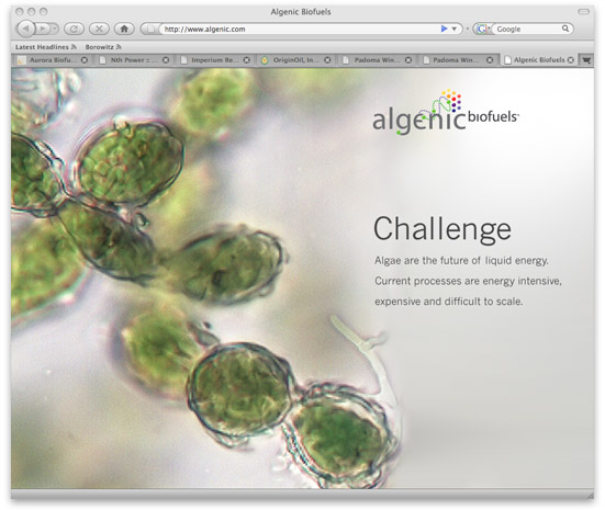 Algenic Biofuels Challenge