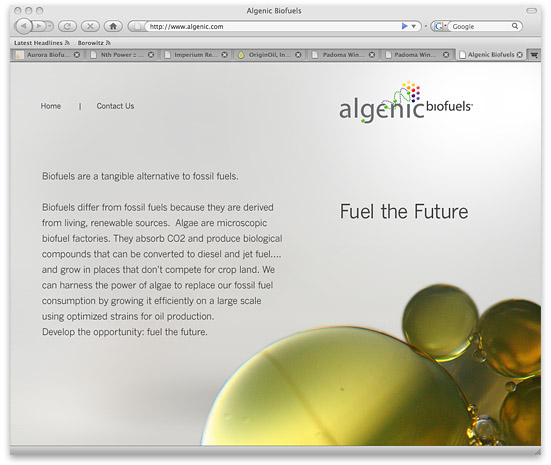 Algenic Biofuels Fuel the Future